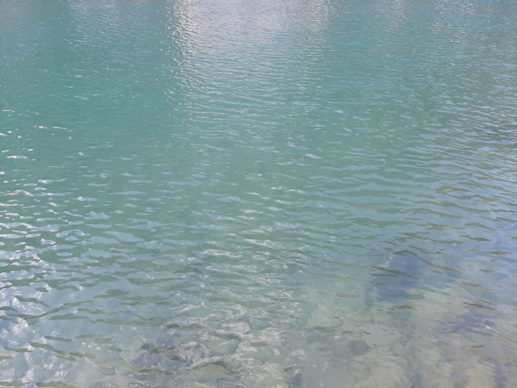 Aare-Unterseenphoto_2021-04-14_16-04-43_2.jpg