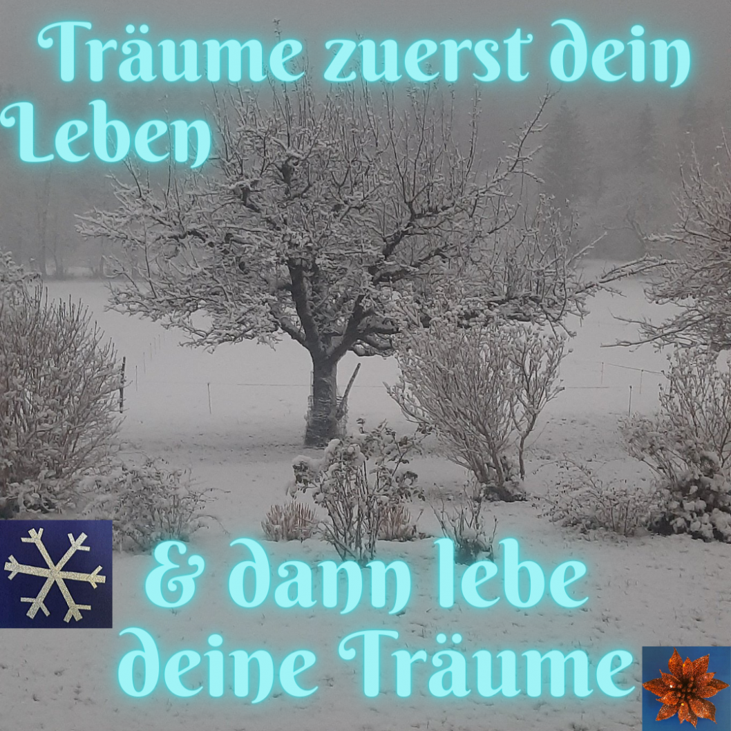 Leben-auf-Mutters-Erde-3_2.png