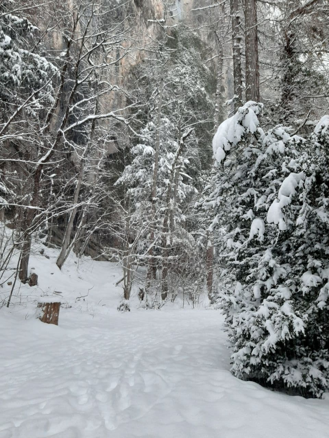Schneelandschaft_2021-02-12_21-12-31.jpg
