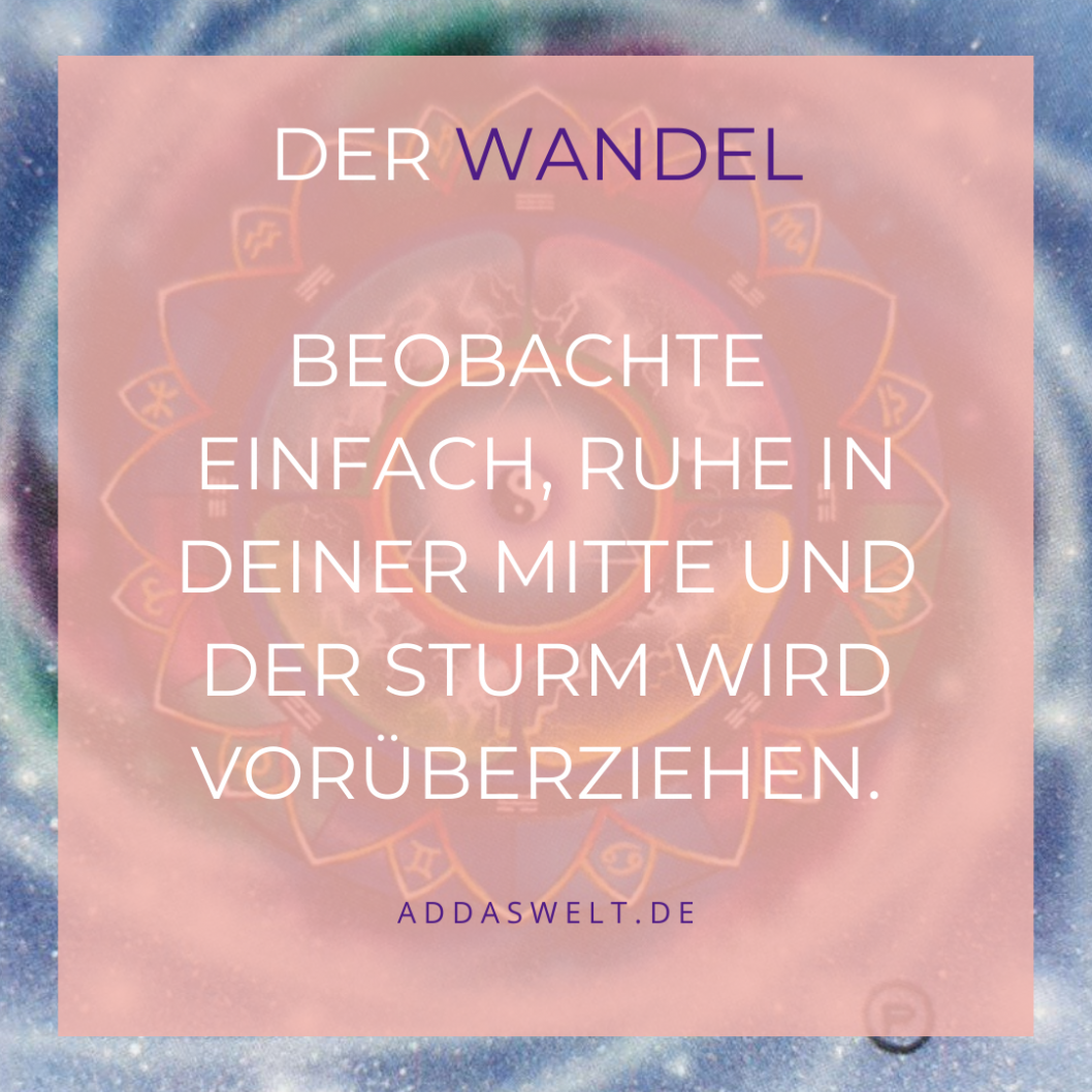 Zitat-Tagesimpuls-1_2.png