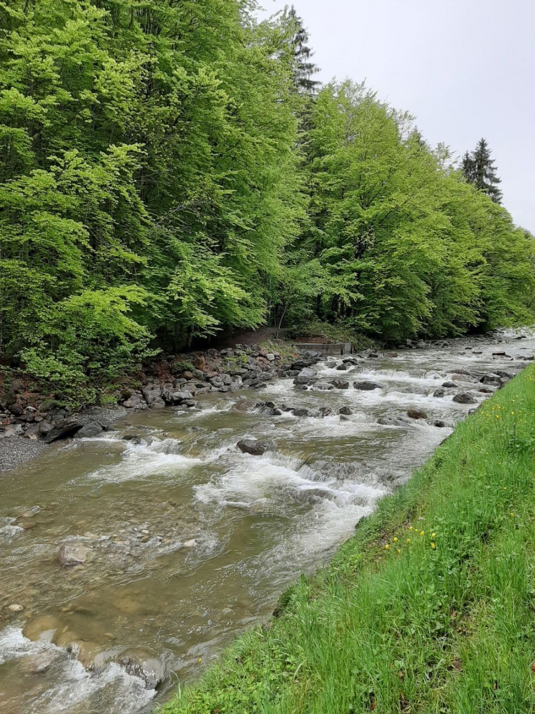 flieender-Fluss-photo_2021-05-17_13-00-57_2.jpg