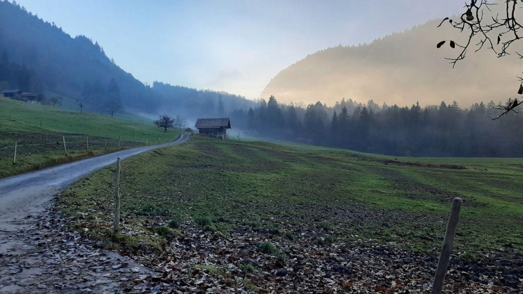 nebel-photo_2021-11-22_18-59-54_2.jpg