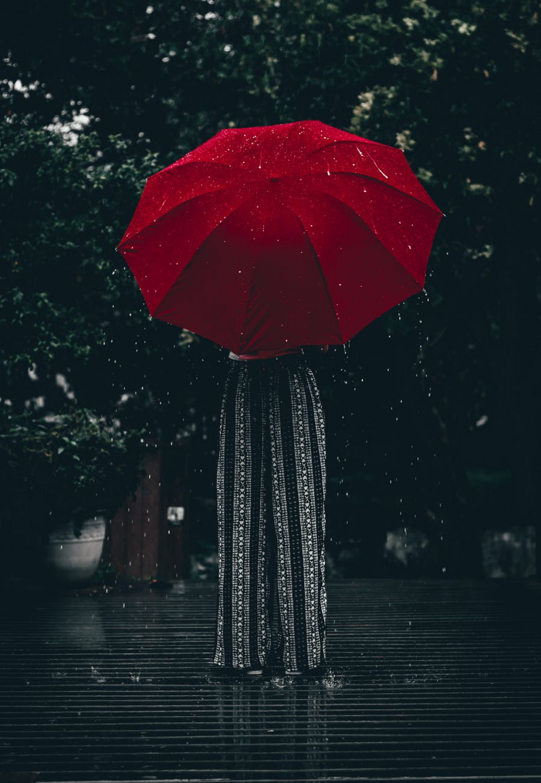 pexels-photo-1887792.jpeg