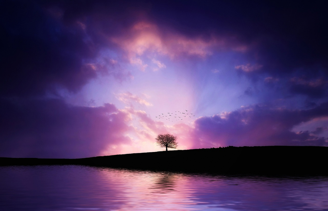 tree-832033_1280.jpg