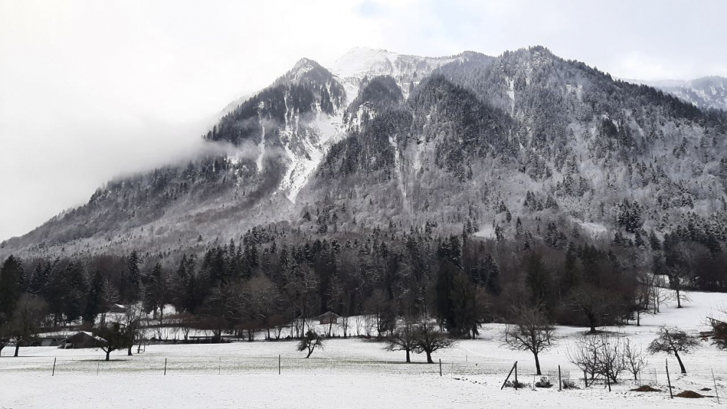 winterland2021-12-10-21.16.18_2.jpg