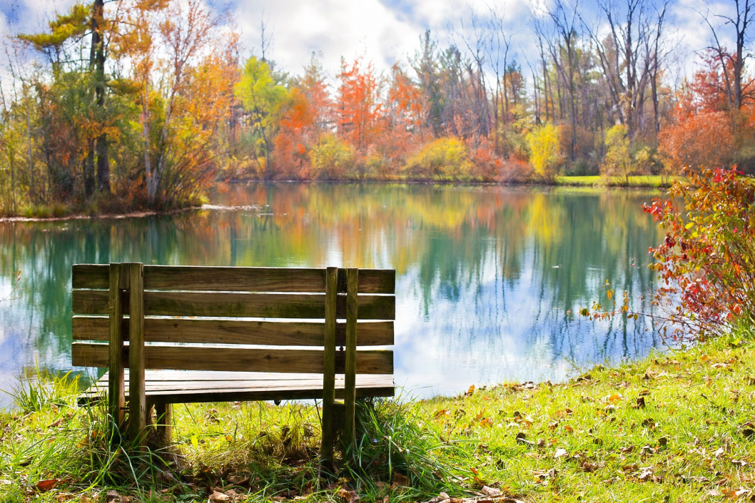 wood-bench-986347_1920.jpg